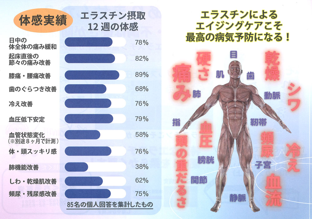 みぞぐち元気『エラスチン摂取体感実績』