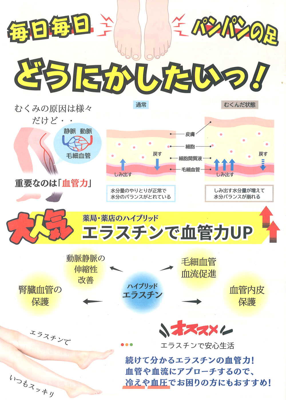 みぞぐち元気堂『毎日毎日パンパンの足をどうにかしたい!エラスチンで血管力UP』
