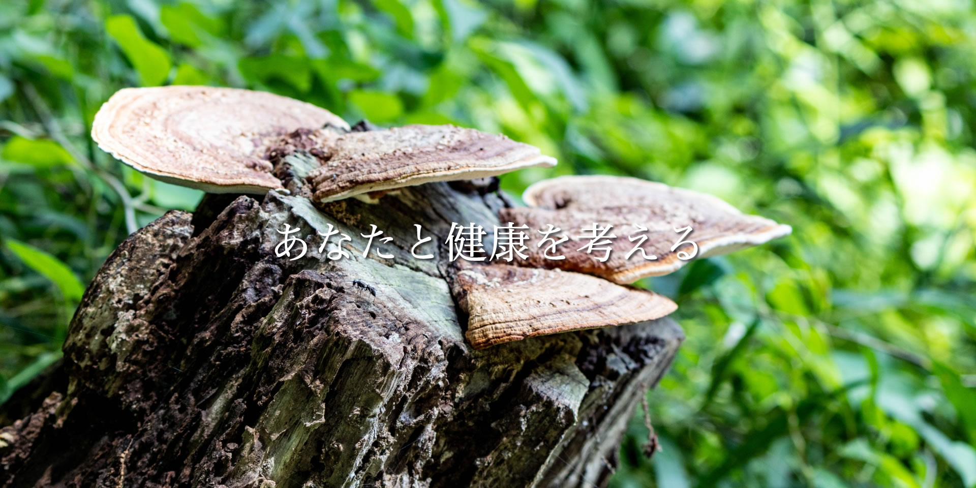 2026年2月のお知らせ