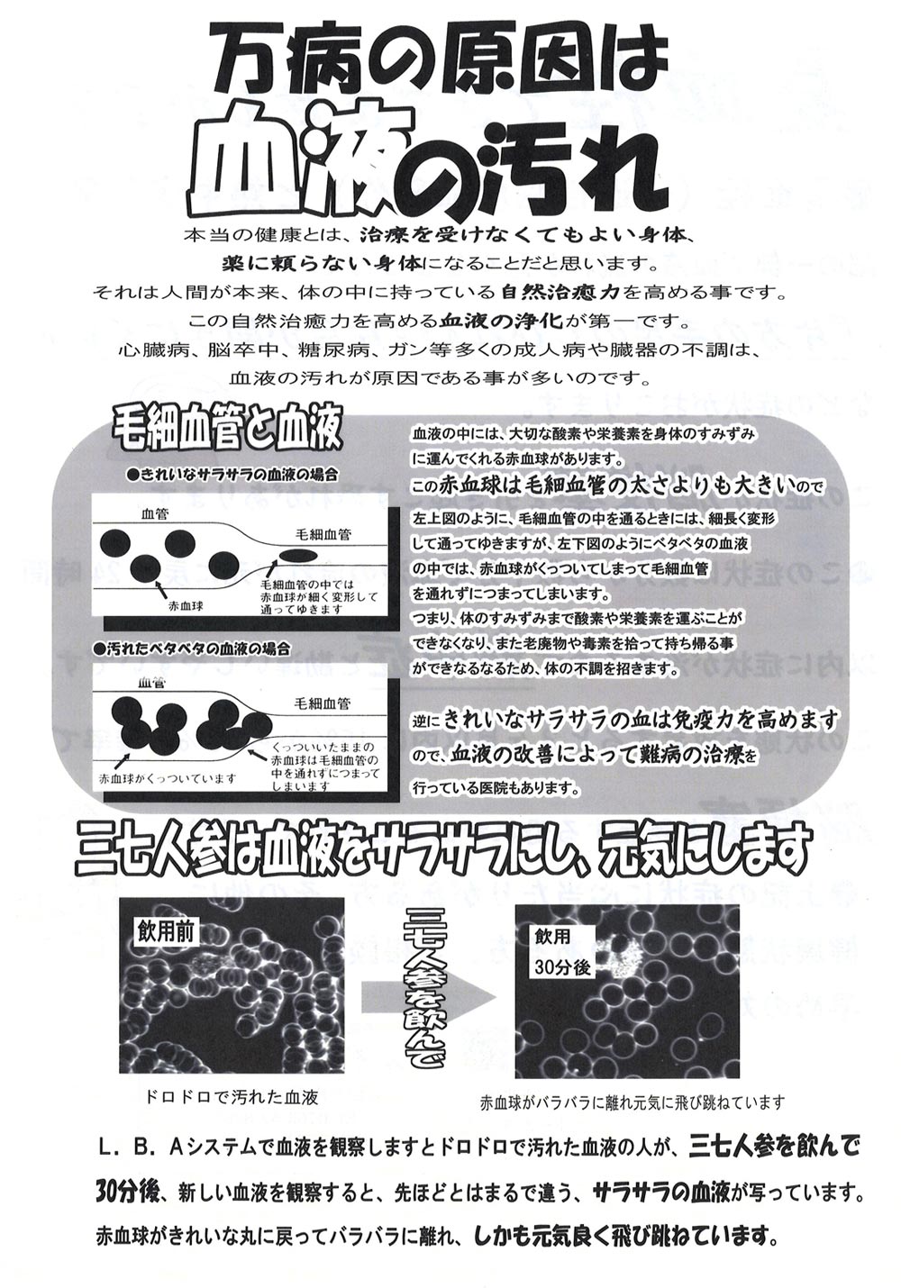 万病の原因は血液の汚れ